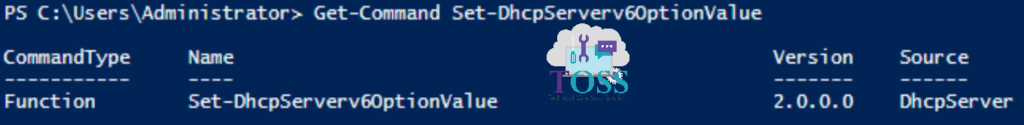 Get-Command Set-DhcpServerv6OptionValue
