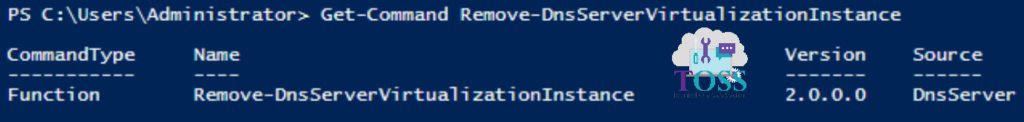 Get-Command Remove-DnsServerVirtualizationInstance