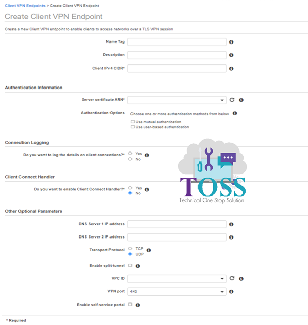 aws client endpoint configuration details fill form
