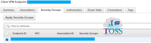 aws client endpoint configuration security group