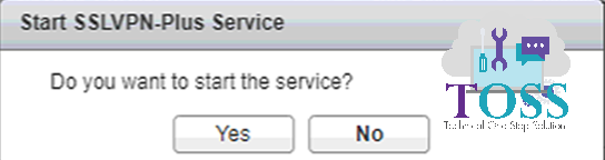 start ssl vpn plus serive