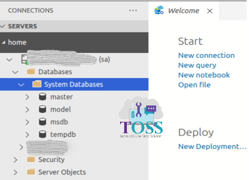 Configuring Azure Data Studio on Ubuntu SQL server running