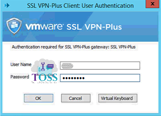 vmware ssl vpn plus client authentication user