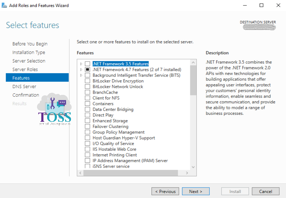 dns feature selection install