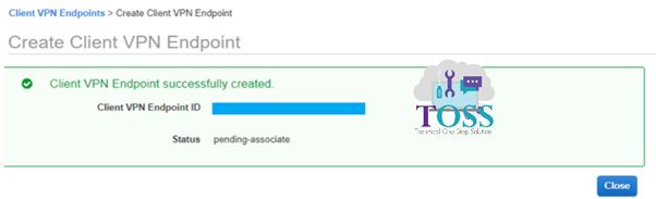 aws client endpoint configuration create