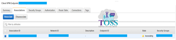 aws client endpoint configuration associate route