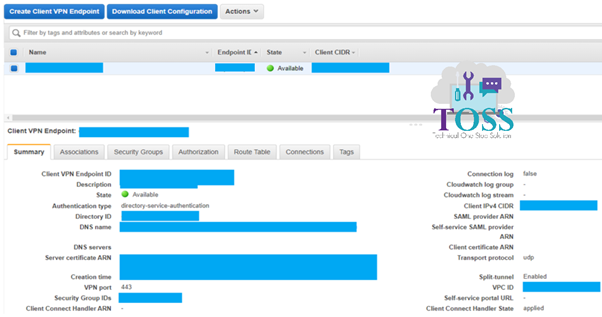 aws client endpoint configuration