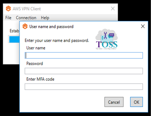 aws client vpn console