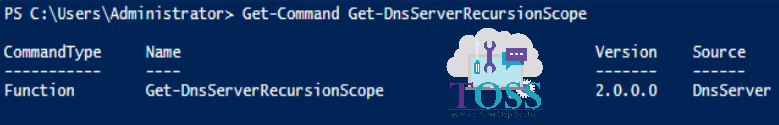Get-Command Get-DnsServerRecursionScope